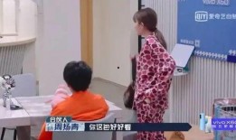 网红小猪爆料视频大全,揭秘娱乐圈幕后真相